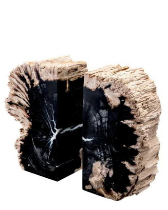 Bookend Opia Petrified Wood - Set of 2